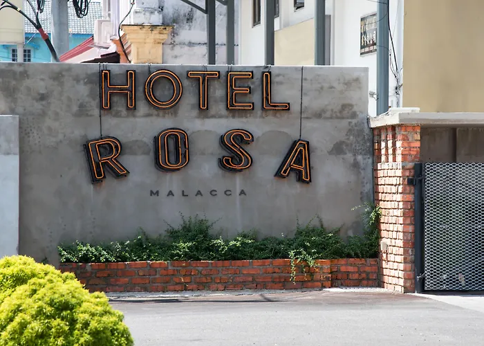 Rosa Malacca