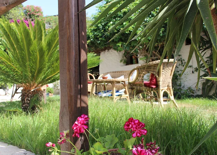 Hotel Mercurio Sul Mare - Fish Restaurant And Private Beach