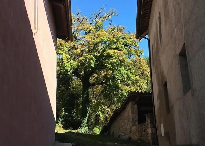 Monegal