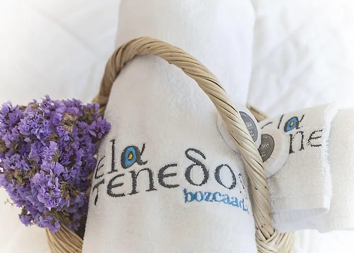 Ela Tenedos Hotel - Special Category (Adults Only)