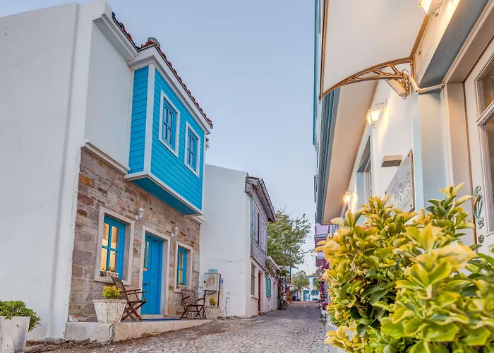 Ela Tenedos Hotel - Special Category (Adults Only)