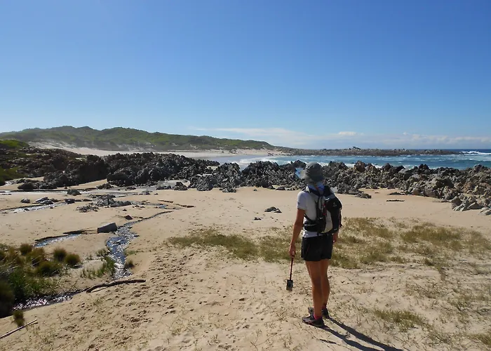 Seals Backpackers