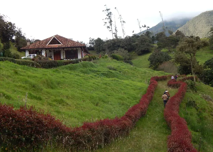 Villa Del Mojan