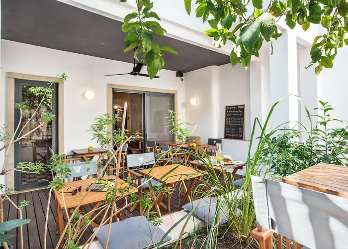 Lemon Tree Stay