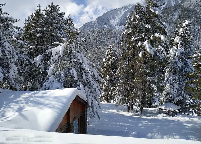 Welcomhotel By Itc Hotels, Pine N Peak, Pahalgam