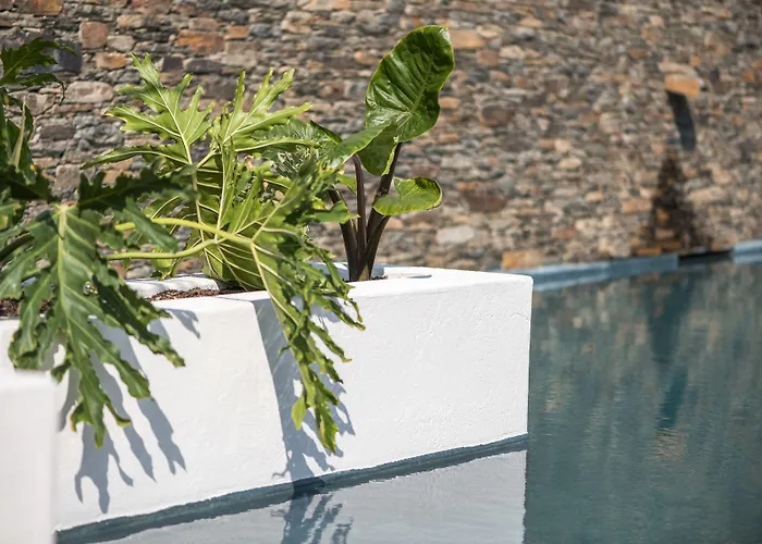 Boutique Hotel Villa Gala By Fimedhotels