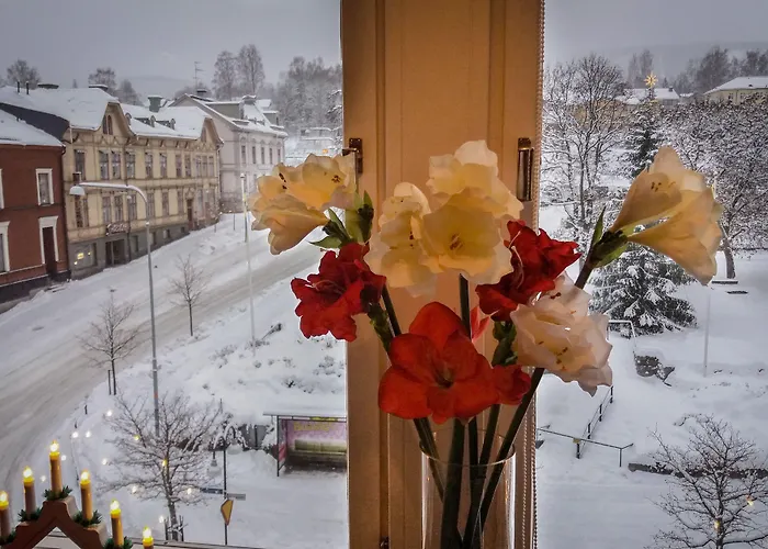 Hotel Solleftea