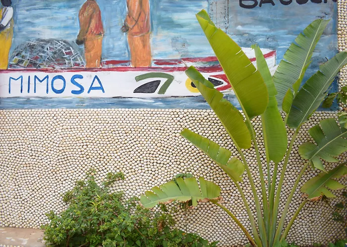Hotel Mimosa Airport