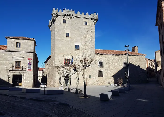 Palacio Duque de Tamames - HOTEL EL RASTRO