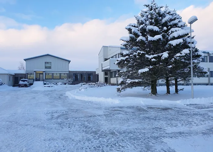 Hotel Joekull