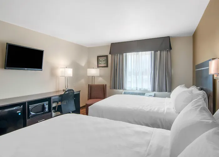 Econo Lodge Inn & Suites Springfield Main Street
