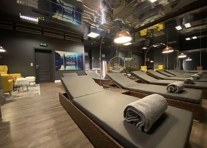 Harz Hotel & Spa Seela