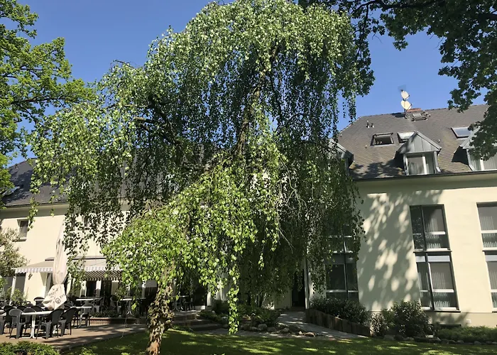Hotel Luther Birke Wittenberg