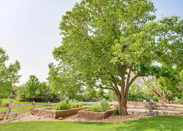 Walk To Rec Center: Spacious Highlands Ranch Home