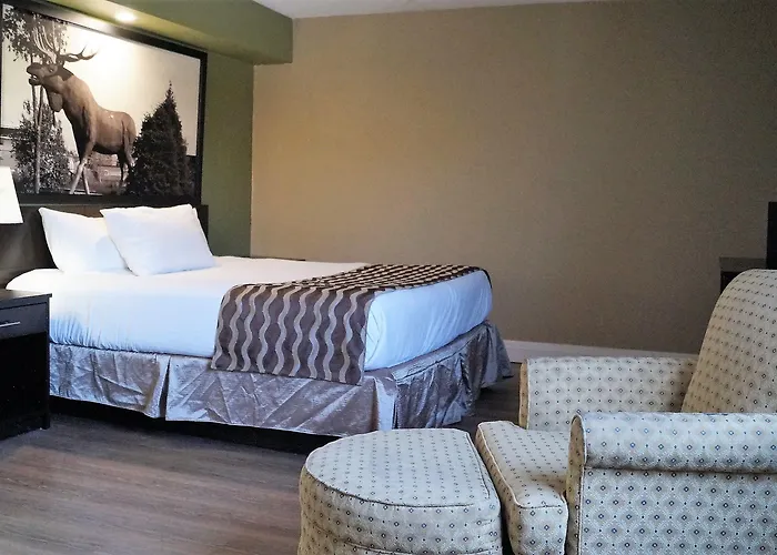 Red Maple Inn And Suites
