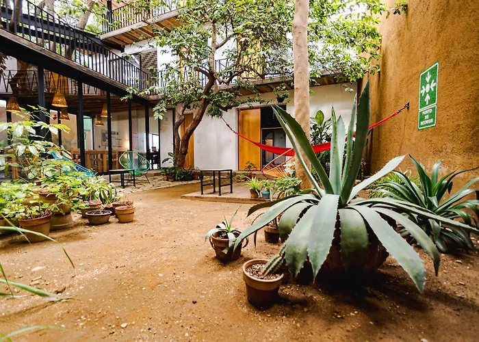 Hotel Con Corazon Oaxaca