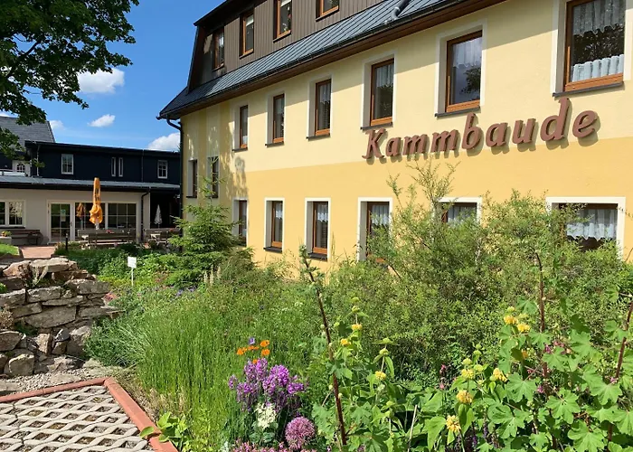 Hotel Dachsbaude & Kammbaude