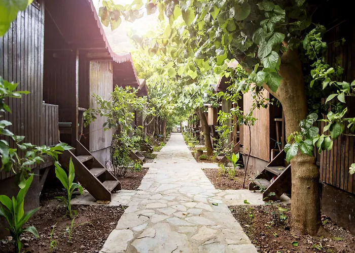 Base Bungalows