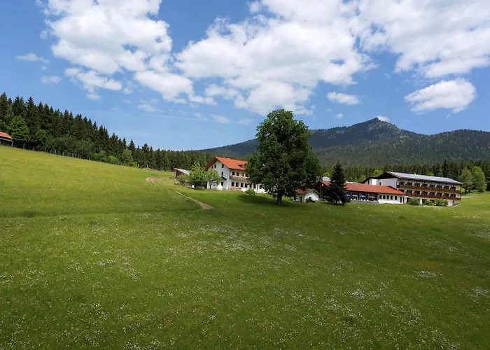 Osserhotel - B&B Am Osser