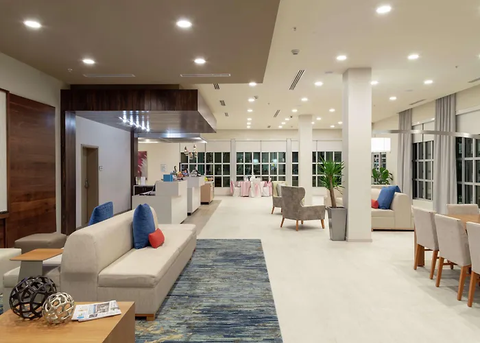 Hilton Garden Inn Tampa - Wesley Chapel