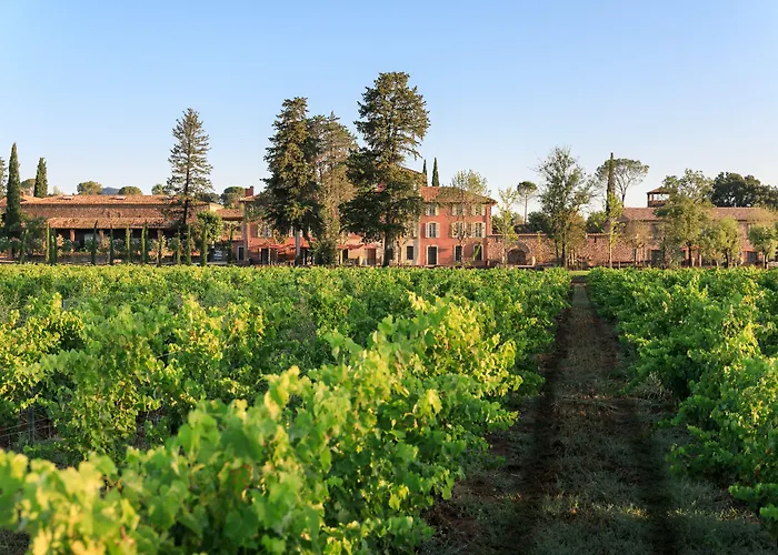 Chateau Saint Roux Le Luc-Le Cannet Des Maures