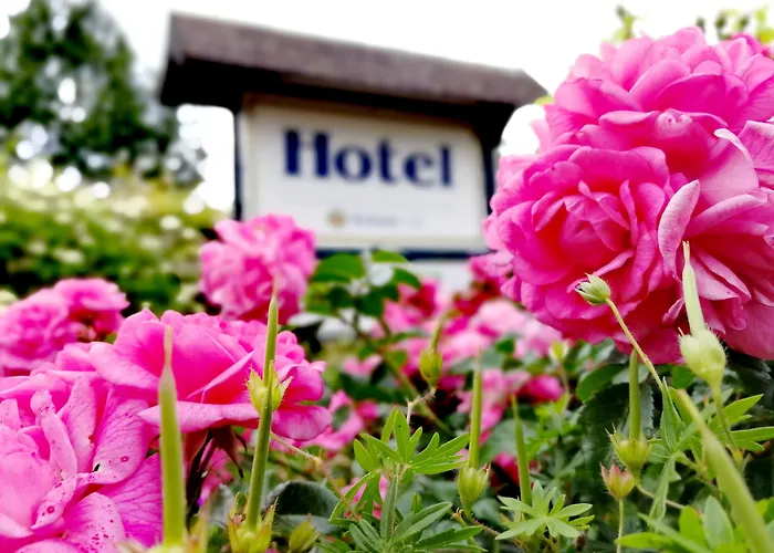 Hotel & Gasthaus Zum Domkreuger