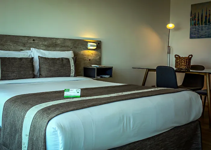 Ecoapart Antofagasta