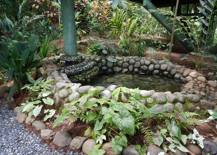 Arbol Verde Villas
