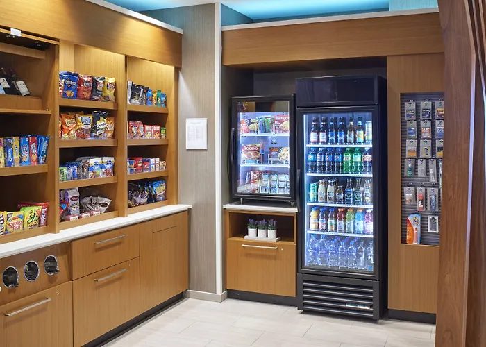 Springhill Suites By Marriott East Lansing University Area, Lansing Area