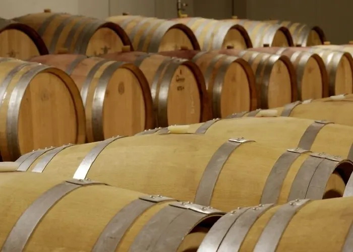 Buil & Gine Wine Hotel