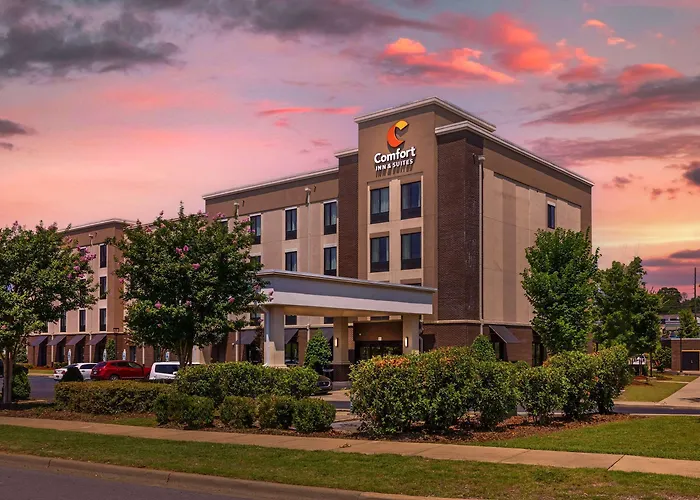 Comfort Inn & Suites At Crossplex Village