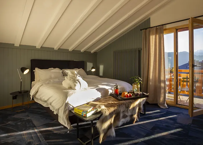 Shed Hotel