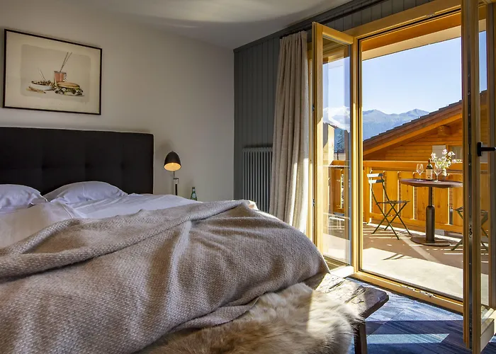 Shed Hotel