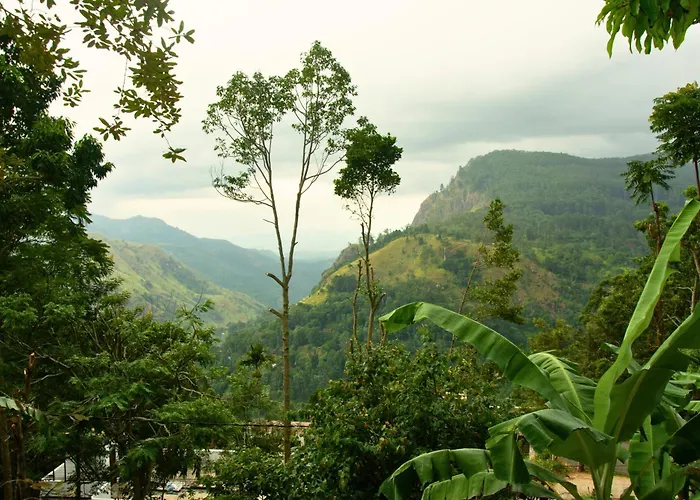 Wonderland View