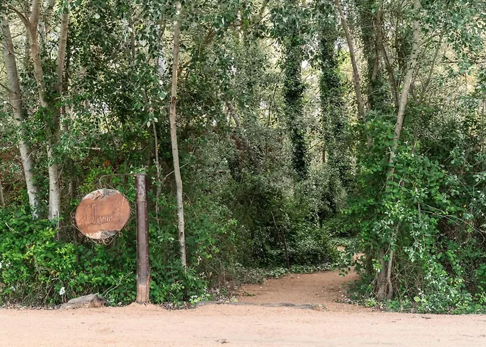 Cabanas En El Bosque A 5 Minutos Del Mar - Estancia Ch