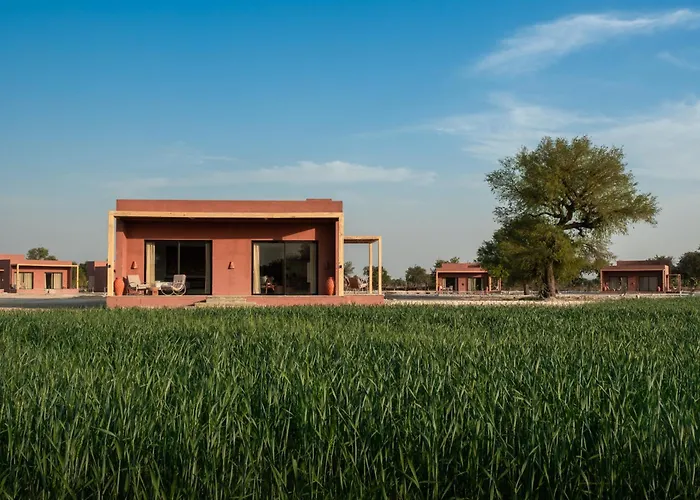 Mharo Khet Jodhpur
