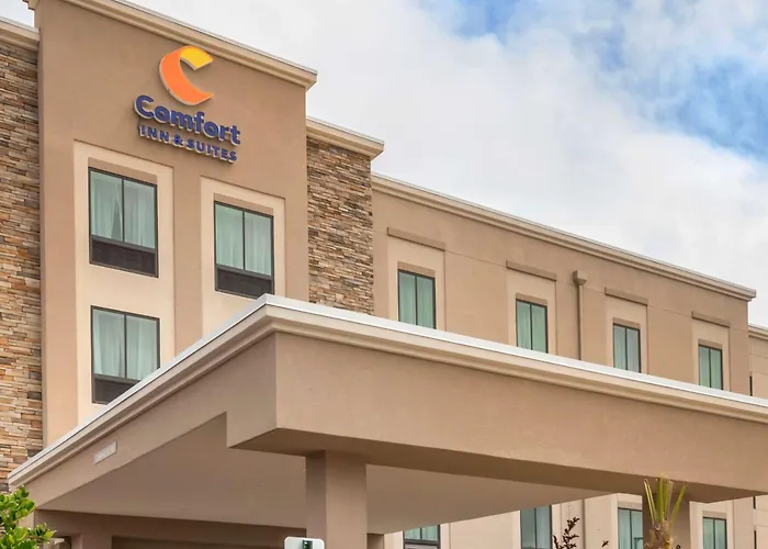 Comfort Inn&Suites Jacksonville - Orange Park Near Naval Air Station