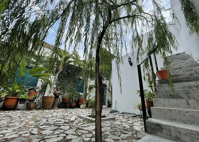 Casa Blanco By Barrio Mexico