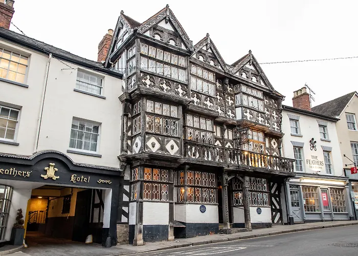 The Feathers Hotel