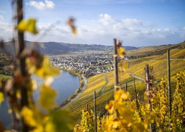 Rieslingquartier - Mosel Wein Hotel