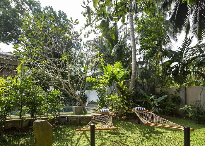 Bilin Tree House