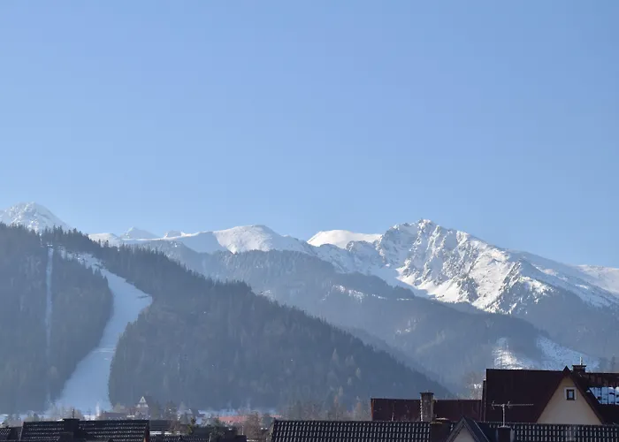 Hotel Paryski Art & Business Zakopane - Basen Jacuzzi Sauna Malpi Gaj