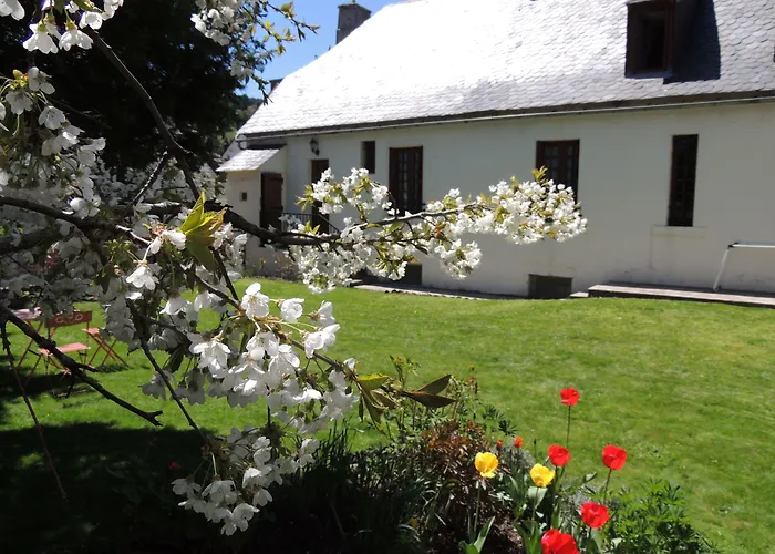 Hotel Restaurant Du Plomb Du Cantal