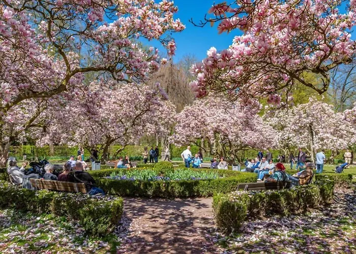 Hotel Zum Goldenen Ochsen Am Schlossgarten