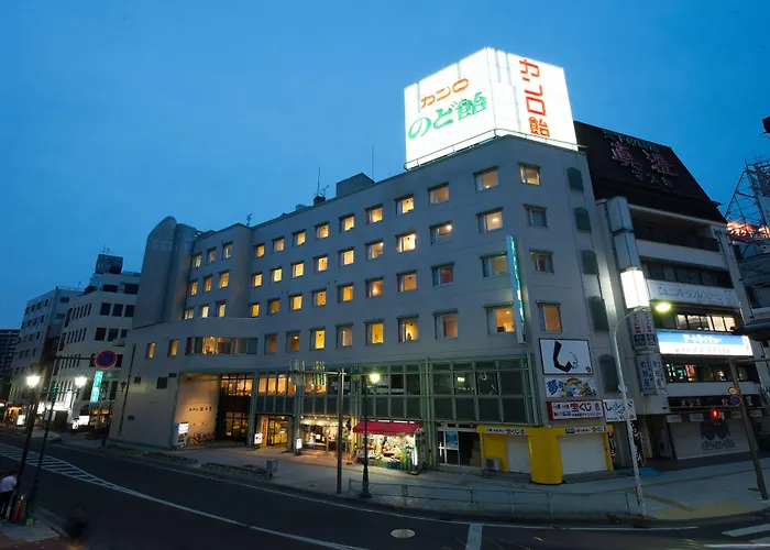 Hotel Iidaya