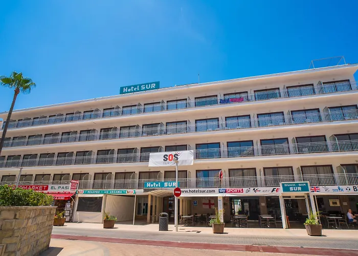 Hotel Sur