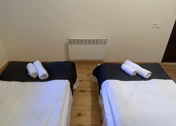 Hotel Lemi