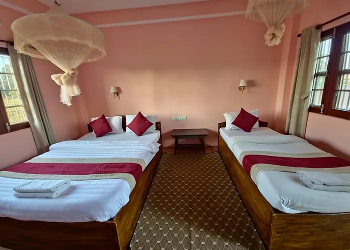 Hotel Tree Tops- A Serene Friendly Hotel In Sauraha