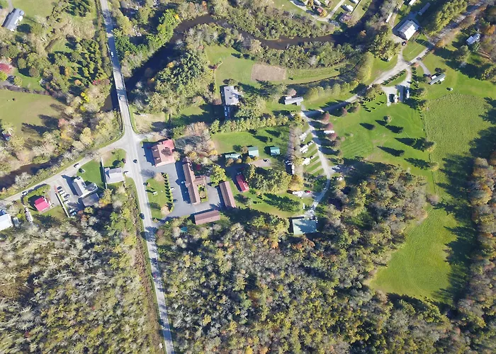 The Pineola