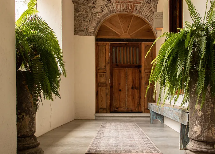 Orchid House San Miguel De Allende